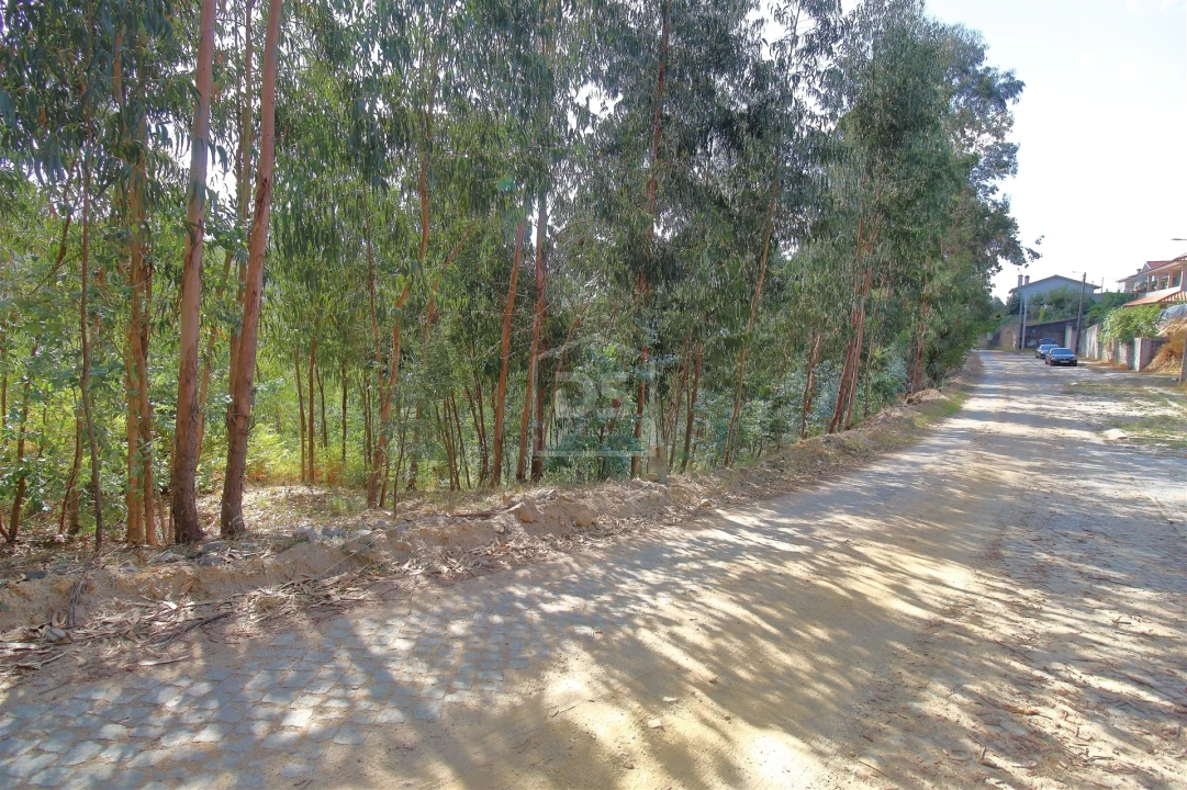 Terreno para Venda em Raiva, Pedorido e Paraíso Foto 10