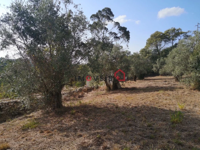 Terreno para Venda em Santa Catarina da Serra e Chainça Foto 6