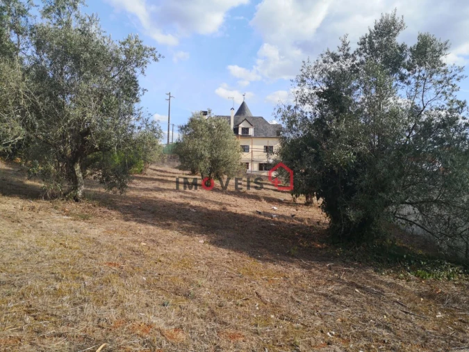 Terreno para Venda em Santa Catarina da Serra e Chainça Foto 3
