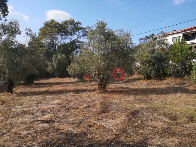 Terreno para Venda em Santa Catarina da Serra e Chainça Foto 7