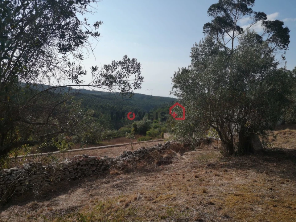 Terreno para Venda em Santa Catarina da Serra e Chainça Foto 10
