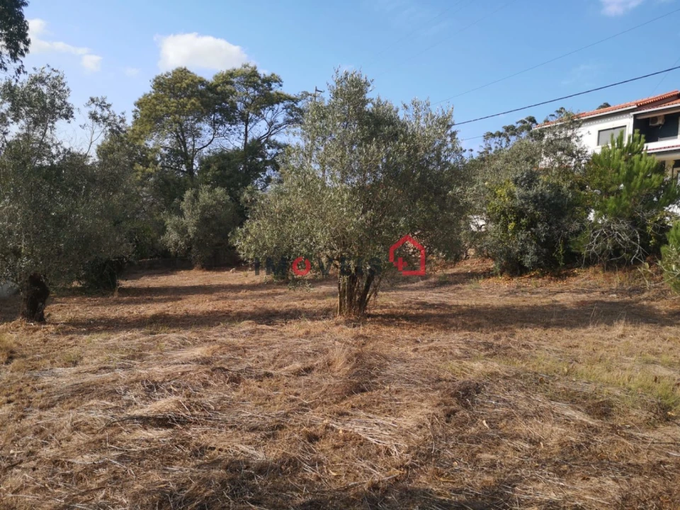 Terreno para Venda em Santa Catarina da Serra e Chainça Foto 7