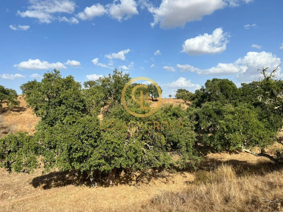 Terreno para Venda em Serpa (Salvador e Santa Maria) Foto 18