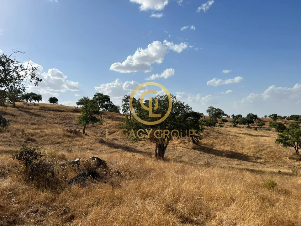 Terreno para Venda em Serpa (Salvador e Santa Maria) Foto 16