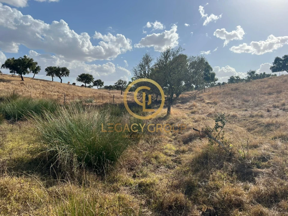 Terreno para Venda em Serpa (Salvador e Santa Maria) Foto 19