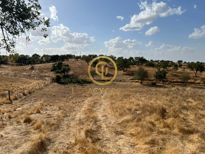 Terreno para Venda em Serpa (Salvador e Santa Maria) Foto 14