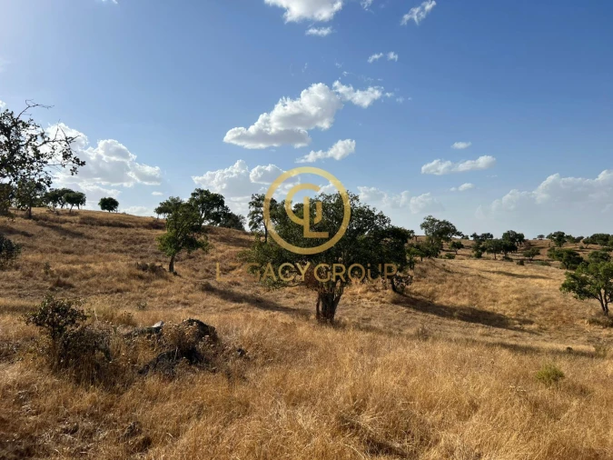 Terreno para Venda em Serpa (Salvador e Santa Maria) Foto 16