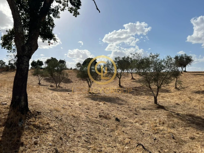 Terreno para Venda em Serpa (Salvador e Santa Maria) Foto 4