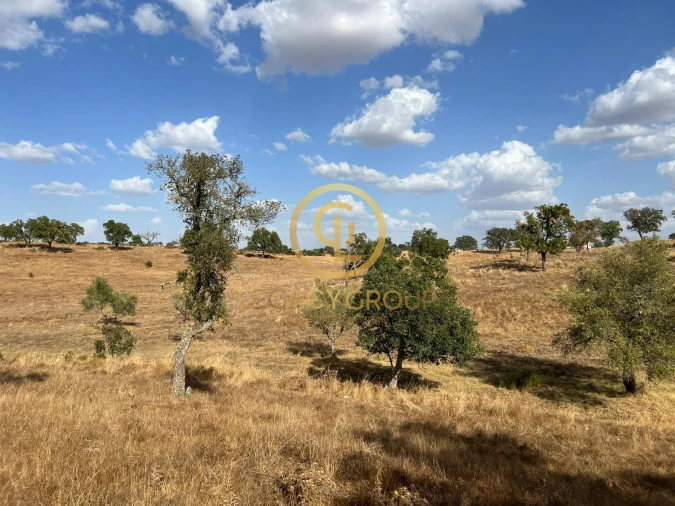 Terreno para Venda em Serpa (Salvador e Santa Maria) Foto 17