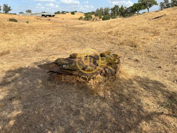 Terreno para Venda em Serpa (Salvador e Santa Maria) Foto 13