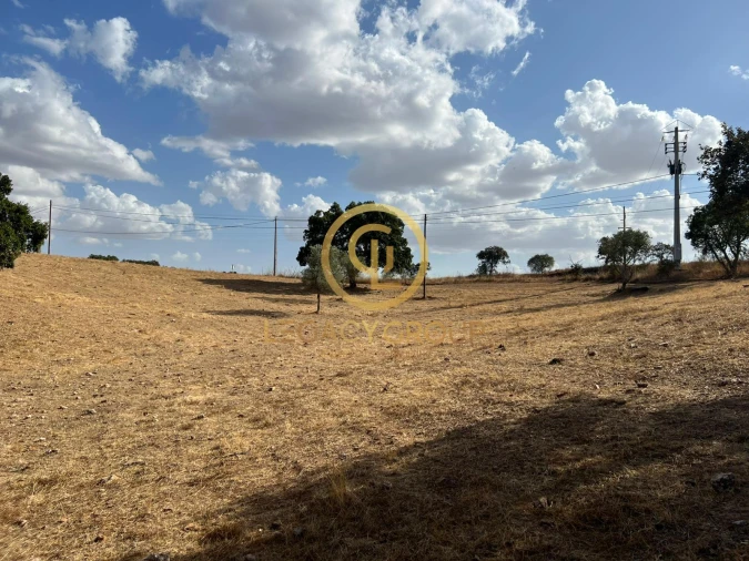 Terreno para Venda em Serpa (Salvador e Santa Maria) Foto 2