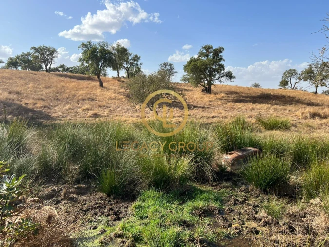 Terreno para Venda em Serpa (Salvador e Santa Maria) Foto 7