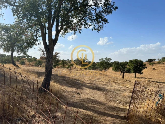 Terreno para Venda em Serpa (Salvador e Santa Maria) Foto 12