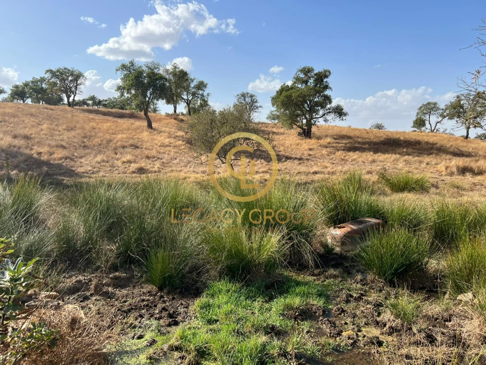 Terreno para Venda em Serpa (Salvador e Santa Maria) Foto 7