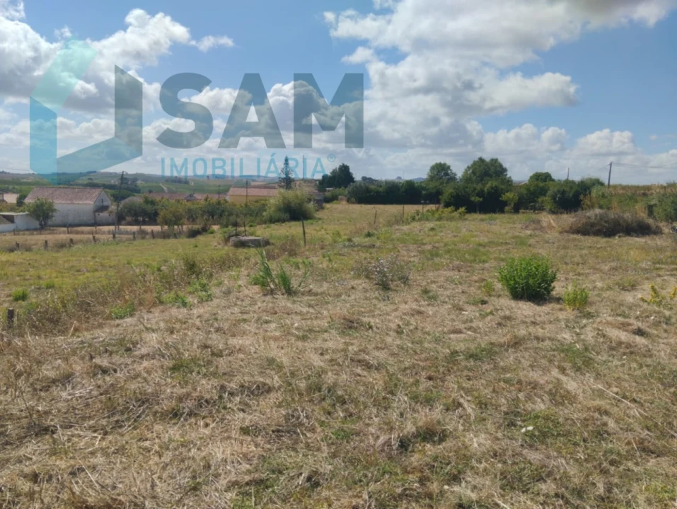 Terreno para Venda em Carvoeira e Carmões Foto 11