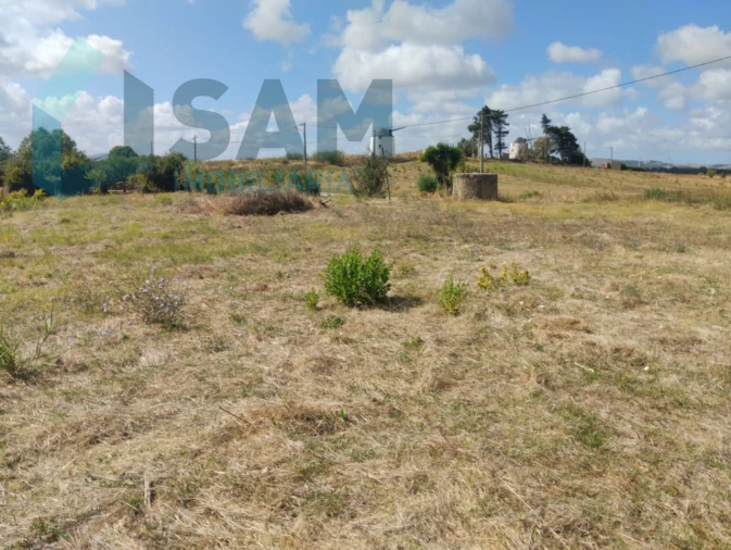 Terreno para Venda em Carvoeira e Carmões