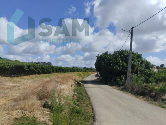 Terreno para Venda em Carvoeira e Carmões Foto 3