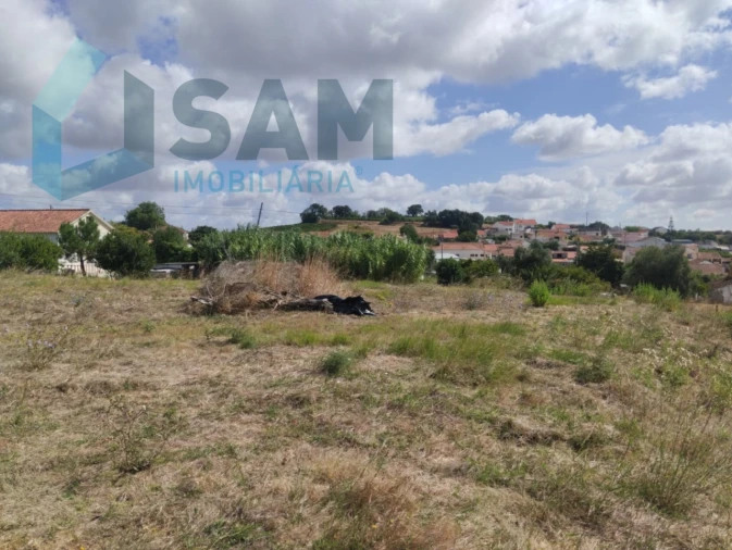 Terreno para Venda em Carvoeira e Carmões Foto 5