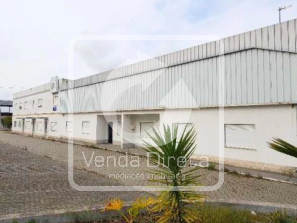Armazém para Venda em Muge Foto 7