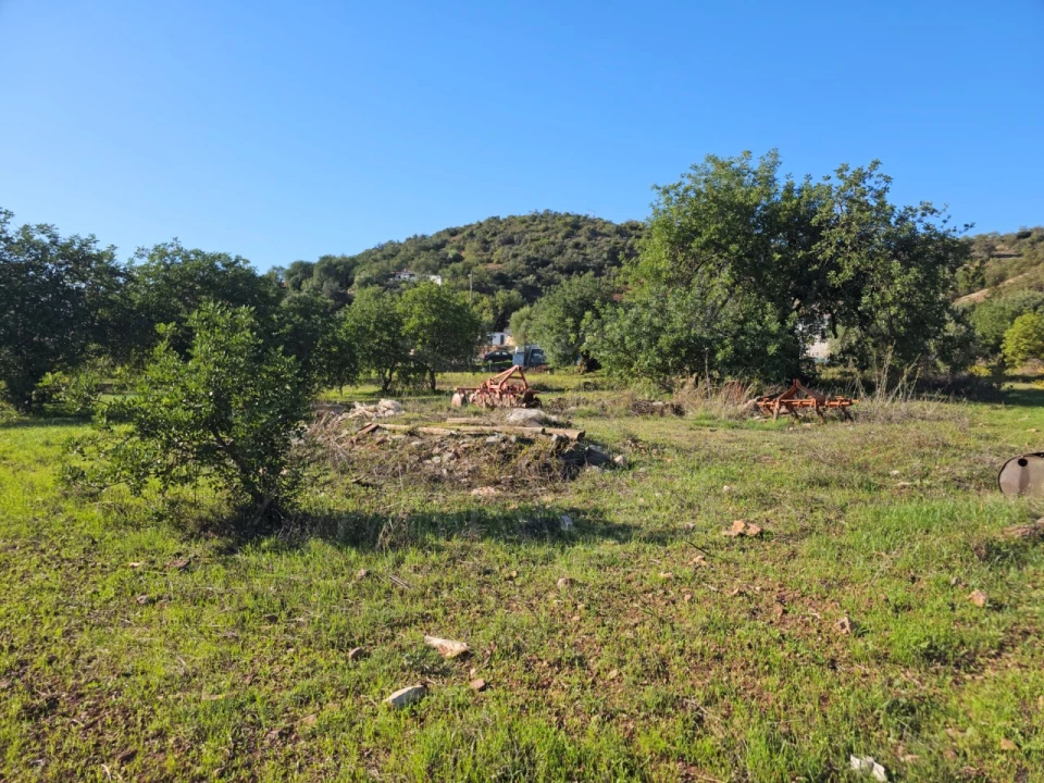 Quinta T6 para Venda em Santa Catarina da Fonte do Bispo Foto 38