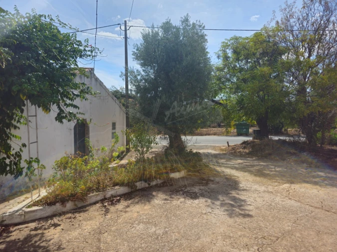 Quinta T6 para Venda em Santa Catarina da Fonte do Bispo Foto 41