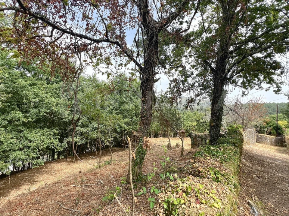 Moradia T3 para Venda em Covas Foto 13