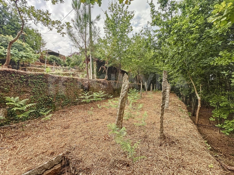 Moradia T3 para Venda em Covas Foto 21