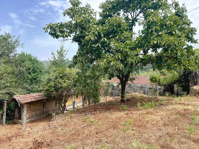 Moradia T3 para Venda em Covas Foto 15