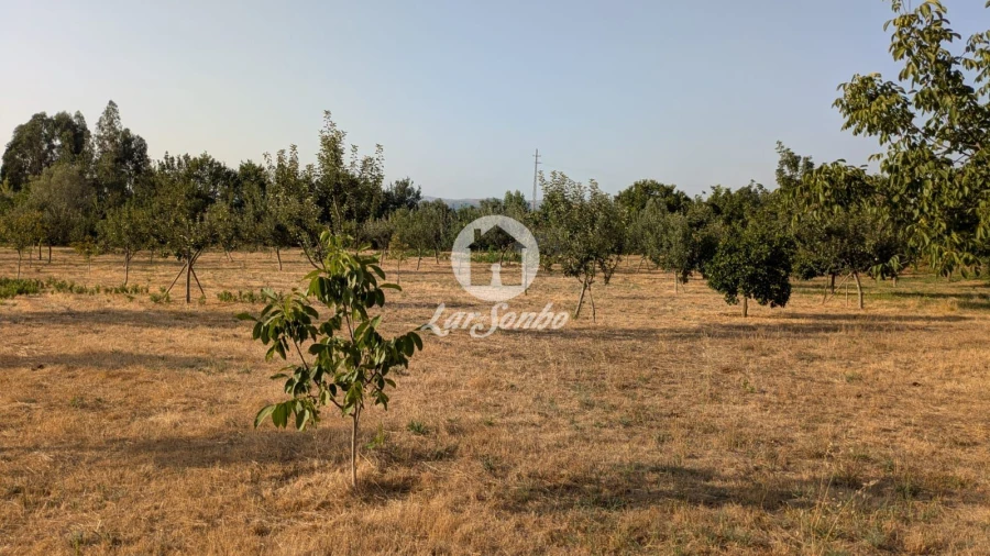 Terreno Agricola ou Rústico para Venda em Quinchães Foto 1