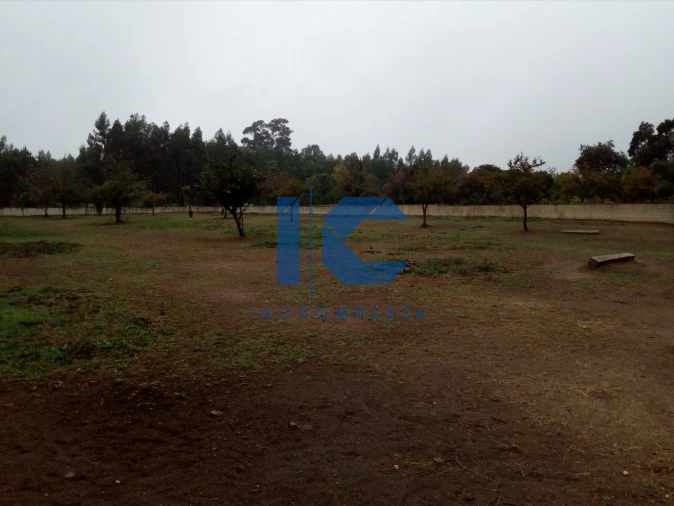 Terreno para Venda em Recardães e Espinhel Foto 3