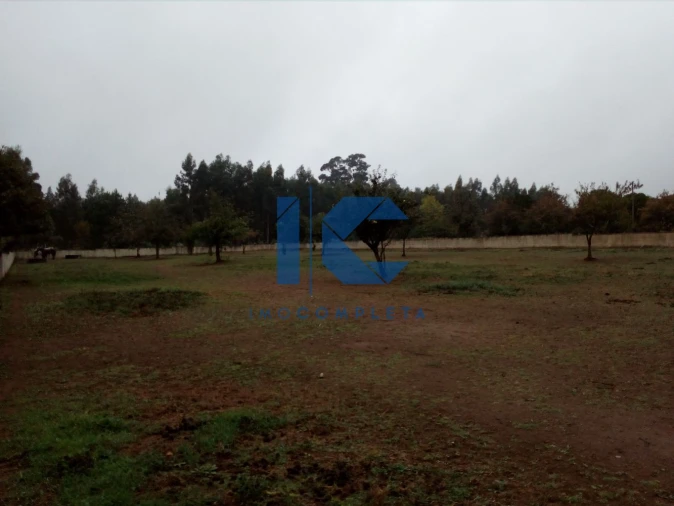 Terreno para Venda em Recardães e Espinhel Foto 4