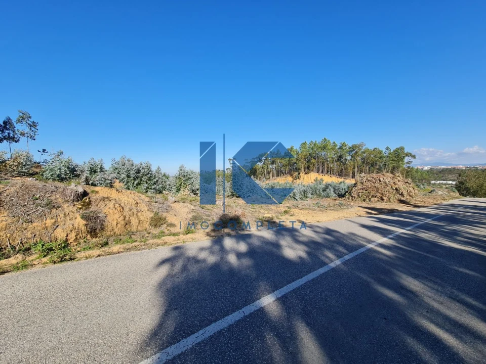 Terreno para Venda em Oliveira do Bairro Foto 1