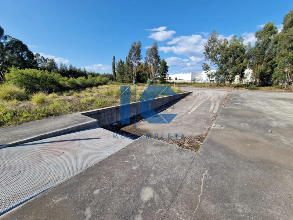 Loja para Arrendamento em Águeda e Borralha Foto 3