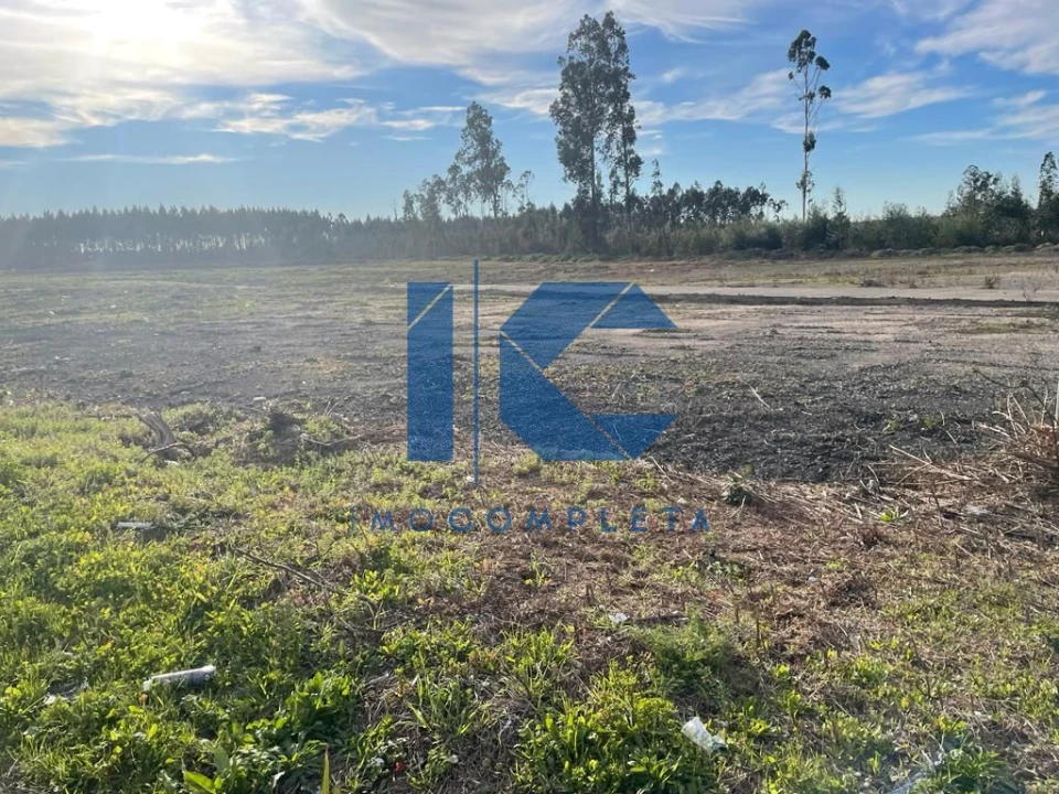 Terreno para Venda em Albergaria-A-Velha e Valmaior Foto 5