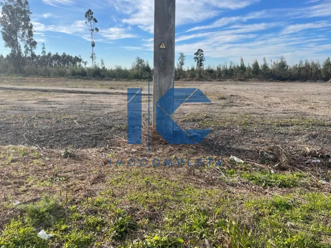 Terreno para Venda em Albergaria-A-Velha e Valmaior Foto 6