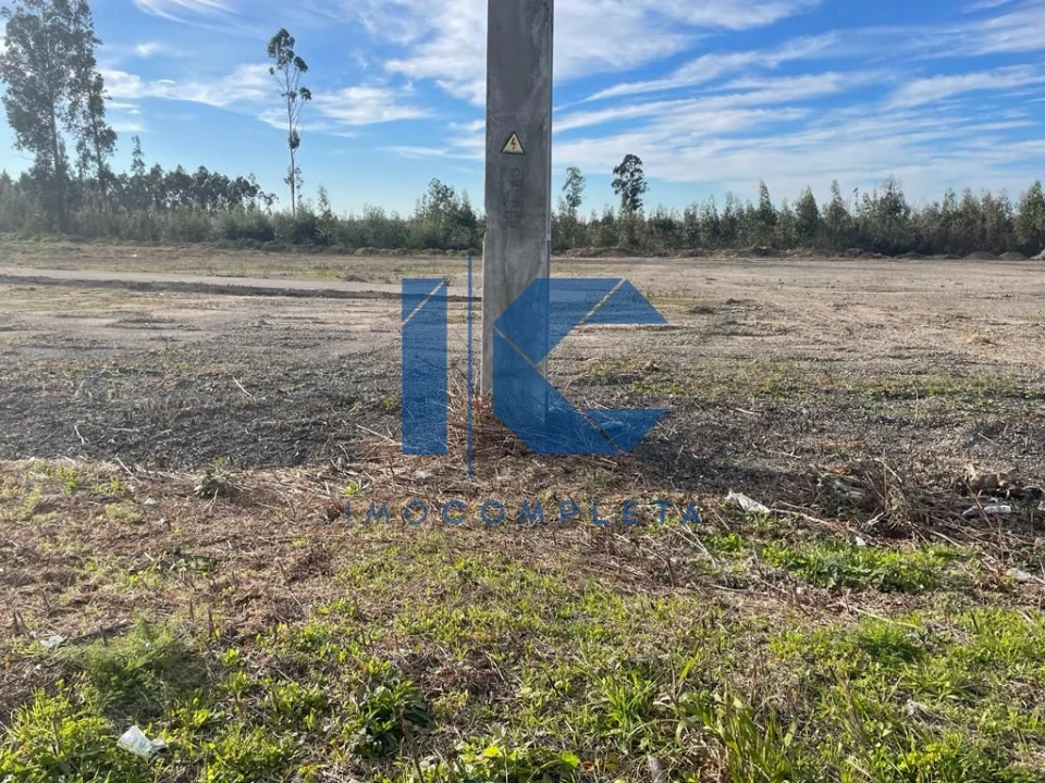 Terreno para Venda em Albergaria-A-Velha e Valmaior Foto 6