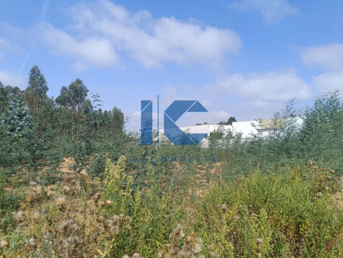 Terreno para Venda em Recardães e Espinhel Foto 5