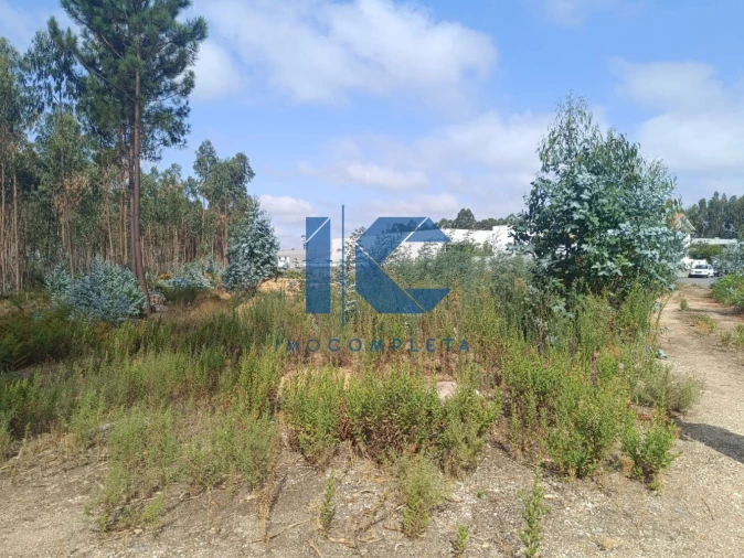 Terreno para Venda em Recardães e Espinhel Foto 3