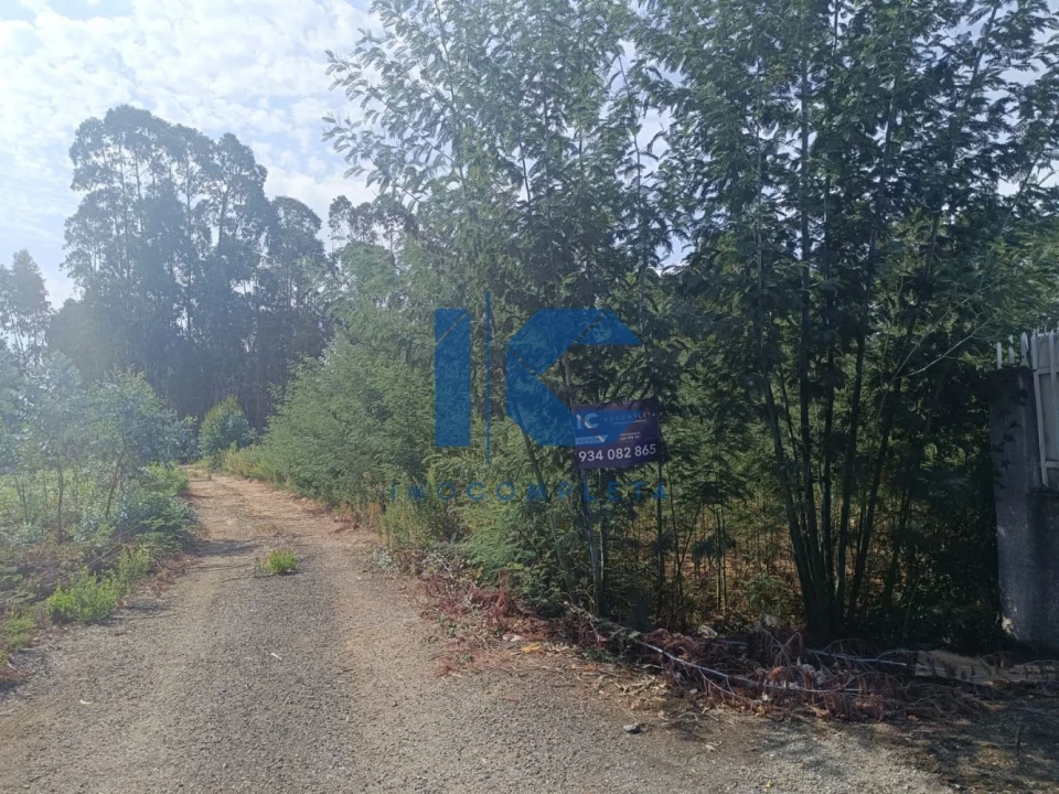 Terreno para Venda em Recardães e Espinhel Foto 4