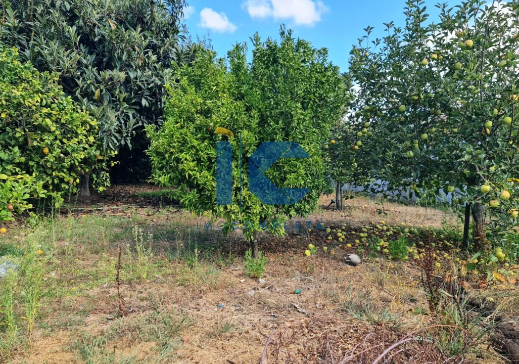 Moradia T4 para Venda em Águeda e Borralha Foto 17