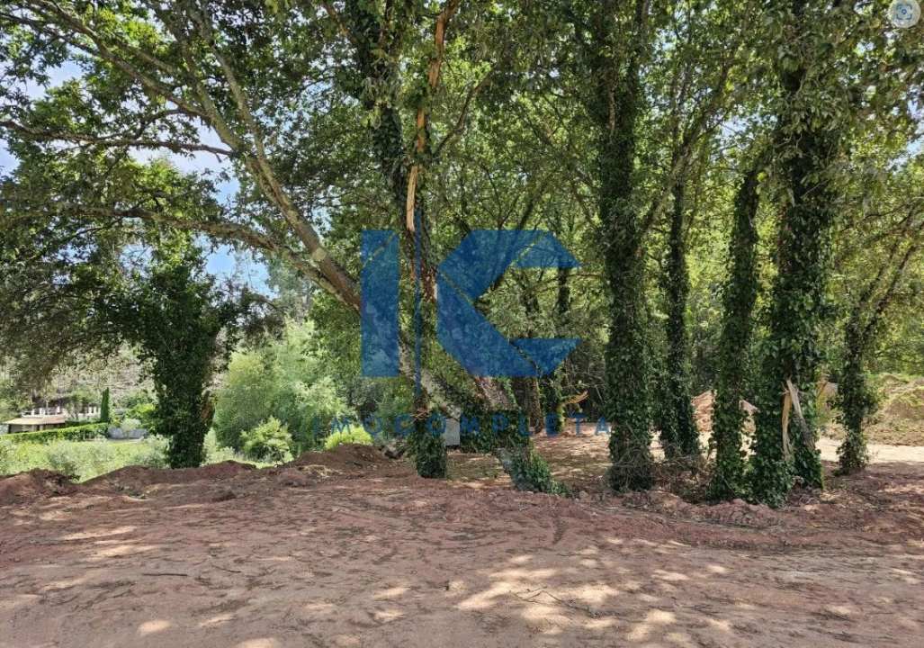 Terreno para Venda em Águeda e Borralha Foto 2