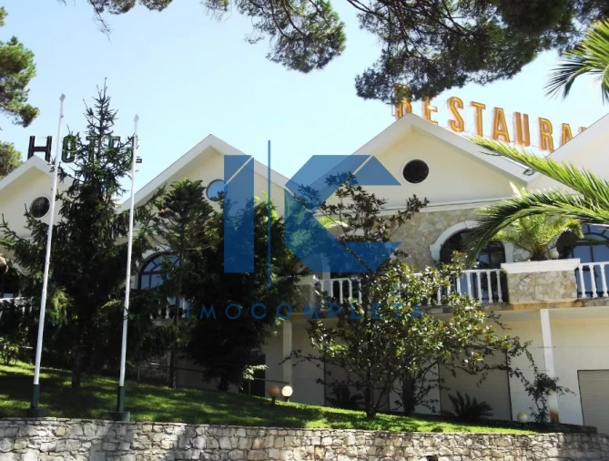 Loja para Venda em Mealhada, Ventosa do Bairro e Antes Foto 3