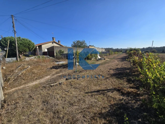 Terreno para Venda em Trofa, Segadães e Lamas do Vouga Foto 2