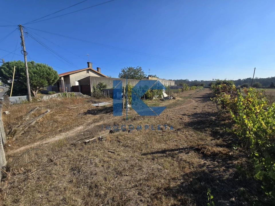 Terreno para Venda em Trofa, Segadães e Lamas do Vouga Foto 2