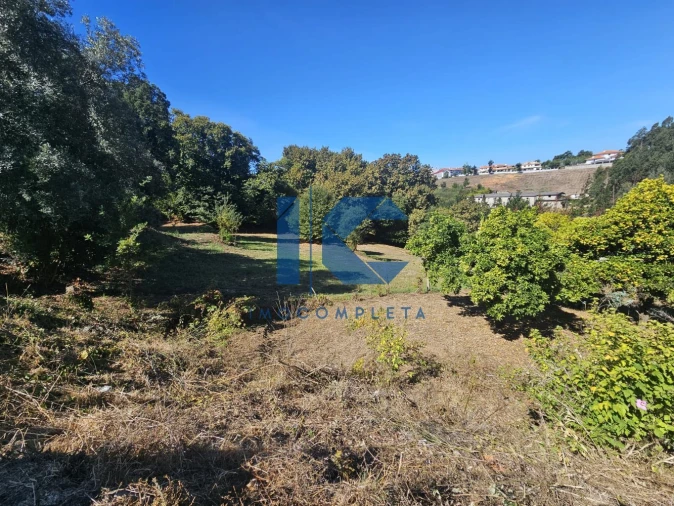 Terreno para Venda em Recardães e Espinhel Foto 3