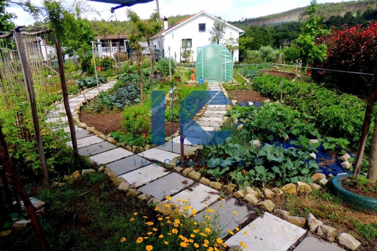 Moradia T3 para Venda em Préstimo e Macieira de Alcoba Foto 9