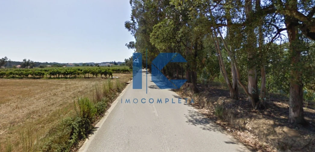 Terreno para Venda em Aguada de Cima Foto 2