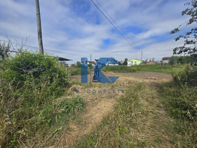 Terreno para Venda em Valongo do Vouga Foto 4