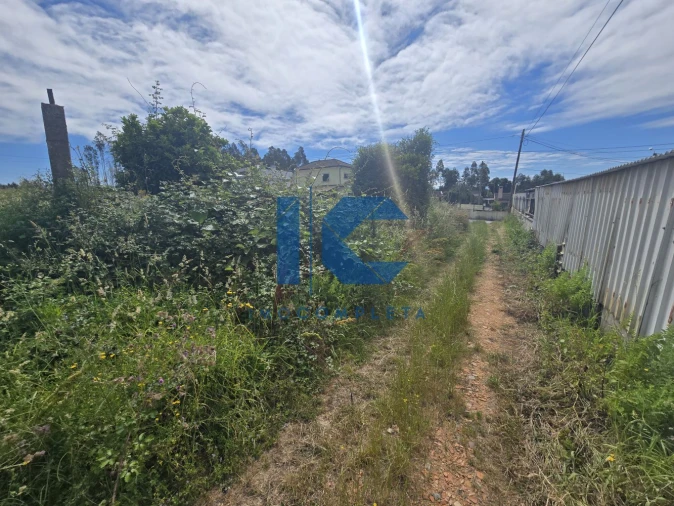 Terreno para Venda em Valongo do Vouga Foto 5