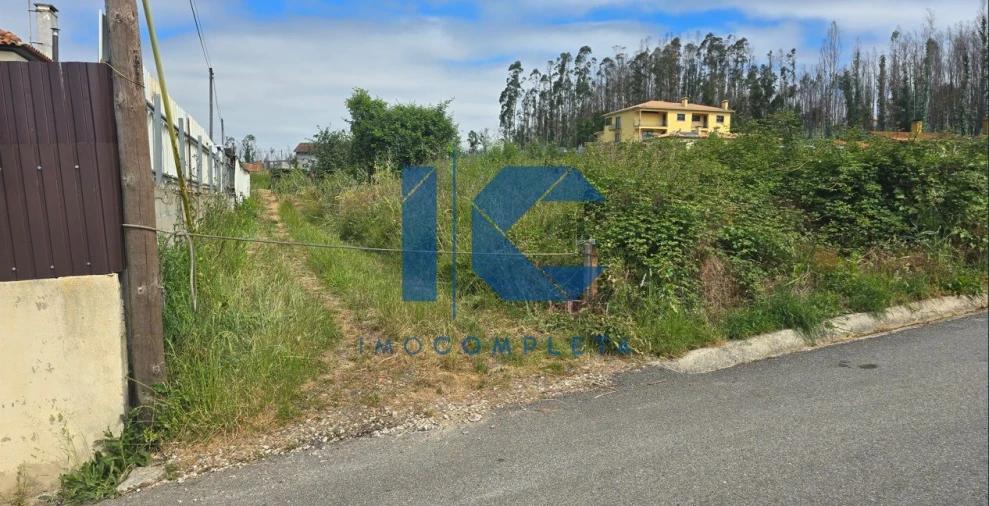 Terreno para Venda em Valongo do Vouga Foto 2
